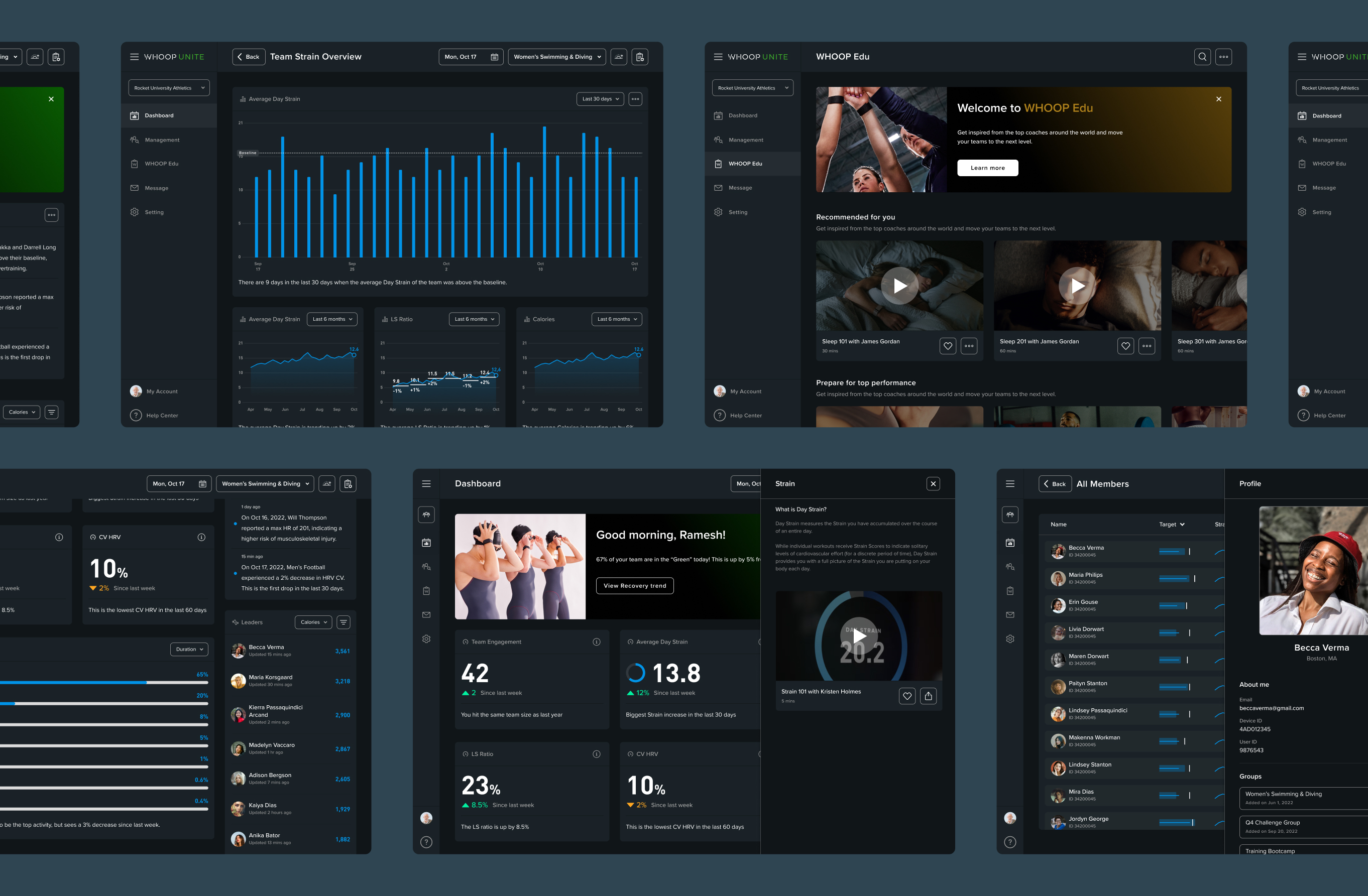 color palette, navigation and overlay components in homebase design system